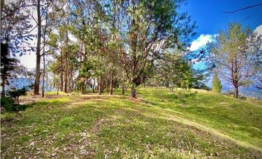 Lote Parcelacion Via Llanogrande La Ceja (Rionegro)