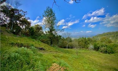 Lote Parcelacion Via Llanogrande La Ceja (Rionegro)