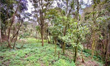 Lote Comercial Alto Palmas Sector Variante Aeropuerto (Envigado)