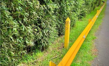 Lote Comercial Alto Palmas Sector Variante Aeropuerto (Envigado)
