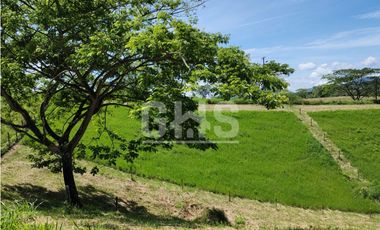 SE VENDE LOTE CAMPESTRE EL EDEN VIA CARTAGO - ALCALA