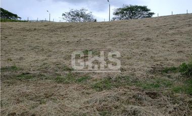 SE VENDE LOTE CAMPESTRE EL EDEN VIA CARTAGO - ALCALA