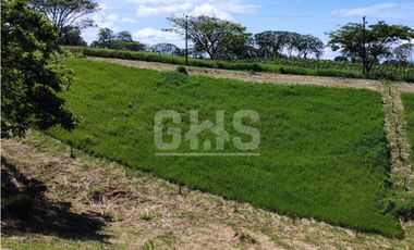 SE VENDE LOTE CAMPESTRE EL EDEN VIA CARTAGO - ALCALA