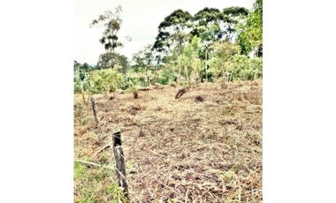 LOTE EN VEREDA LOS PINOS