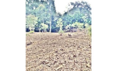 LOTE EN VEREDA LOS PINOS