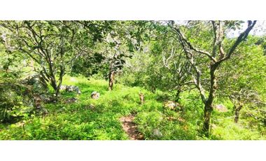 Venta de lote de 16000 M2 en 350 mill en La Mesa Cund COL.