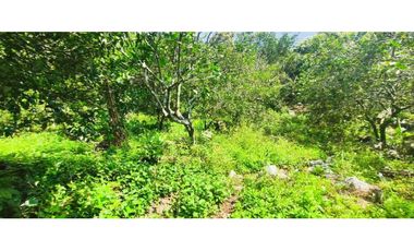 Venta de lote de 16000 M2 en 350 mill en La Mesa Cund COL.