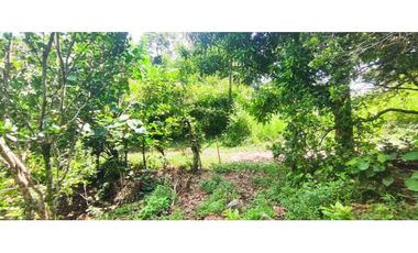 Venta de lote de 16000 M2 en 350 mill en La Mesa Cund COL.