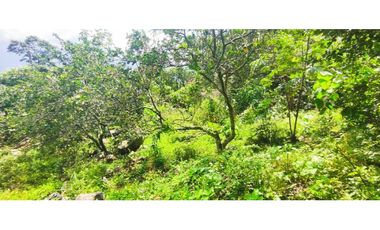 Venta de lote de 16000 M2 en 350 mill en La Mesa Cund COL.