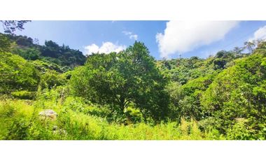 Venta de lote de 16000 M2 en 350 mill en La Mesa Cund COL.