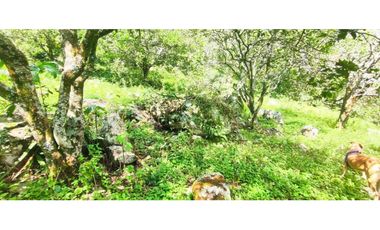 Venta de lote de 16000 M2 en 350 mill en La Mesa Cund COL.