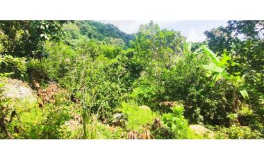 Venta de lote de 16000 M2 en 350 mill en La Mesa Cund COL.