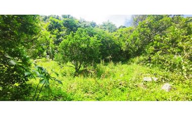 Venta de lote de 16000 M2 en 350 mill en La Mesa Cund COL.