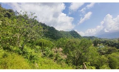 Venta de lote de 16000 M2 en 350 mill en La Mesa Cund COL.