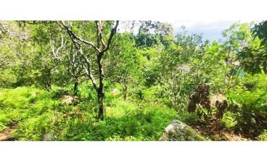 Venta de lote de 16000 M2 en 350 mill en La Mesa Cund COL.