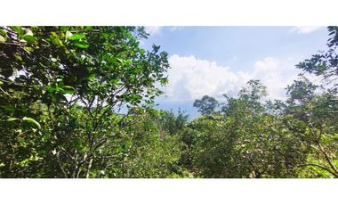 Venta de lote de 16000 M2 en 350 mill en La Mesa Cund COL.