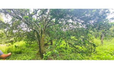 Venta de lote de 16000 M2 en 350 mill en La Mesa Cund COL.