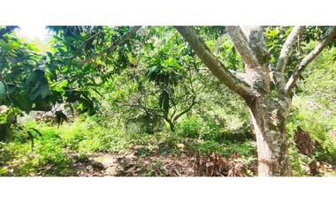 Venta de lote de 16000 M2 en 350 mill en La Mesa Cund COL.