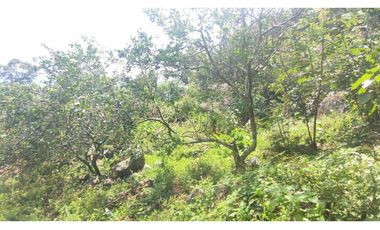 Venta de lote de 16000 M2 en 350 mill en La Mesa Cund COL.