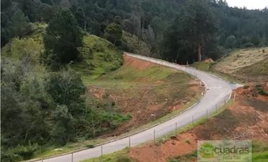 LOTE EN GUARNE UNIDAD CERRADA