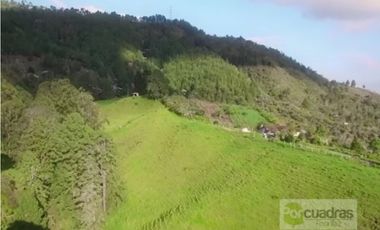 LOTE EN GUARNE UNIDAD CERRADA