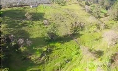 LOTE EN GUARNE UNIDAD CERRADA