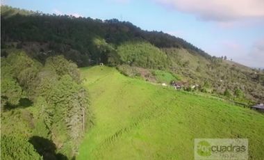 LOTE EN GUARNE UNIDAD CERRADA