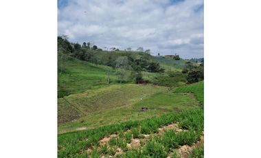 Venta de Lote y Casa Carmen de Viboral