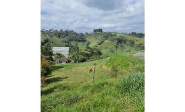 Venta de Lote y Casa Carmen de Viboral