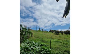 Venta de Lote y Casa Carmen de Viboral