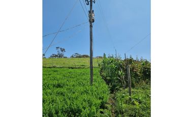 Venta de Lote y Casa Carmen de Viboral