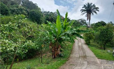 Finca Sobre La Vía Principal Ideal Para Proyecto Turístico