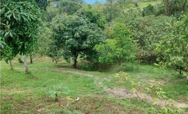 Finca Sobre La Vía Principal Ideal Para Proyecto Turístico