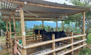 Finca Sobre La Vía Principal Ideal Para Proyecto Turístico