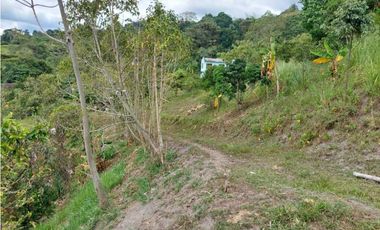 Finca Sobre La Vía Principal Ideal Para Proyecto Turístico