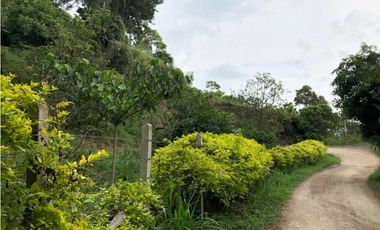 Finca De Una Fanegada  Con rboles Frutales