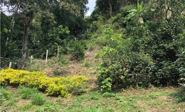 Finca De Una Fanegada  Con rboles Frutales