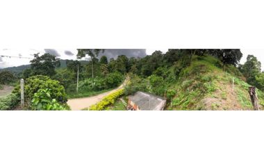 Finca De Una Fanegada  Con rboles Frutales