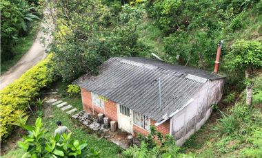 Finca De Una Fanegada  Con rboles Frutales