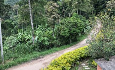 Finca De Una Fanegada  Con rboles Frutales