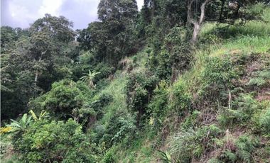 Finca De Una Fanegada  Con rboles Frutales