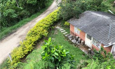 Finca De Una Fanegada  Con rboles Frutales
