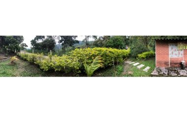 Finca De Una Fanegada  Con rboles Frutales