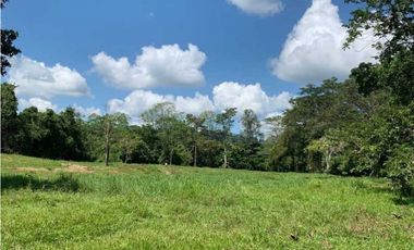 Finca De 11 Fanegadas Para Condominio En Anapoima