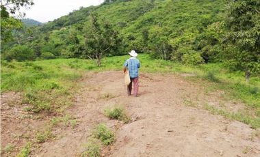 Finca De 11 Fanegadas Para Condominio En Anapoima