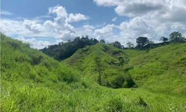 Finca De 11 Fanegadas Para Condominio En Anapoima