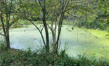 Finca De 11 Fanegadas Para Condominio En Anapoima