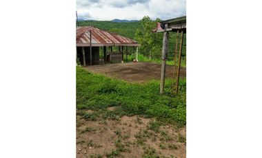 Finca De 11 Fanegadas Para Condominio En Anapoima