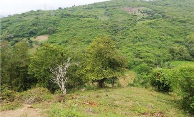 Finca De 11 Fanegadas Para Condominio En Anapoima