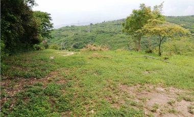 Finca De 11 Fanegadas Para Condominio En Anapoima